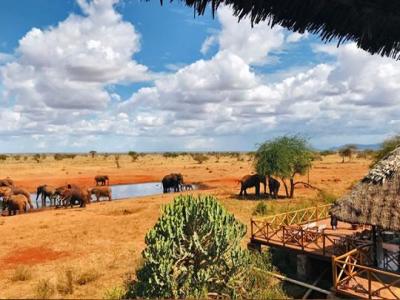 Ngutuni Wildlife Conservancy