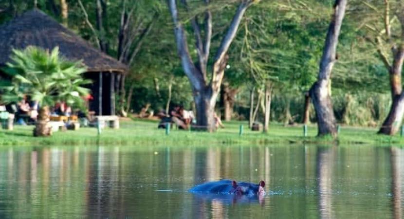 3D Tsavo East & Ziwani Sanctuary