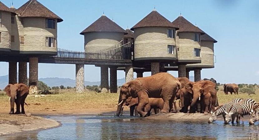 3D Taita Hills (Saltlick) and Amboseli