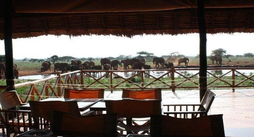 2D Ngutuni & Taita Salt Lick