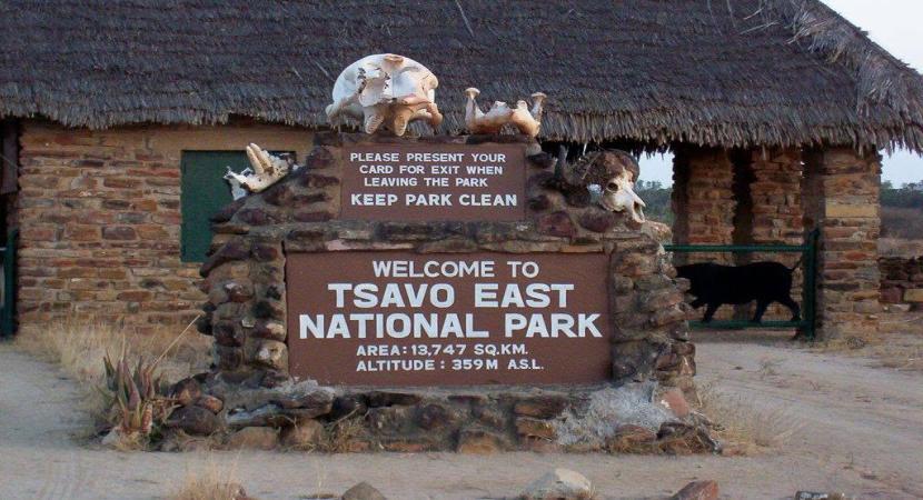 2D Tsavo East Safari