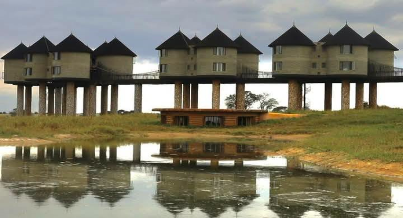 2D Tsavo East & Salt lick